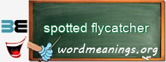 WordMeaning blackboard for spotted flycatcher